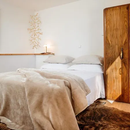 Nerium سيغيت فغانييتْسا