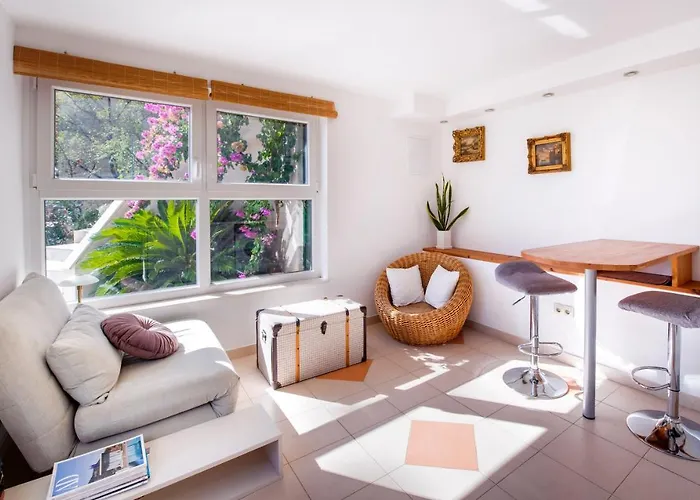 Nerium * Seget Vranjica